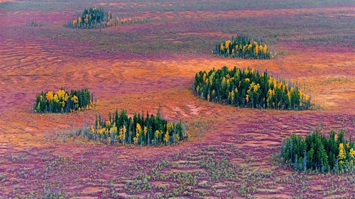 Octubre de 2016 Bing tema HD fondos de pantalla (1) #11