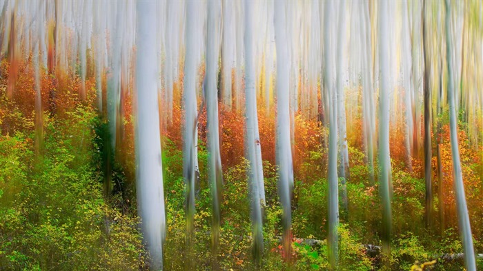 Octubre de 2016 Bing tema HD fondos de pantalla (2) #11