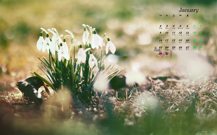 January 2017 calendar wallpaper (1) #14