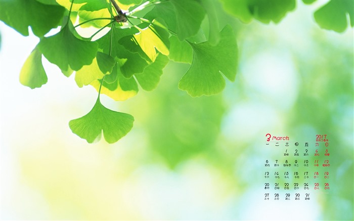 Fondo de pantalla del calendario de marzo de 2017 (1) #4