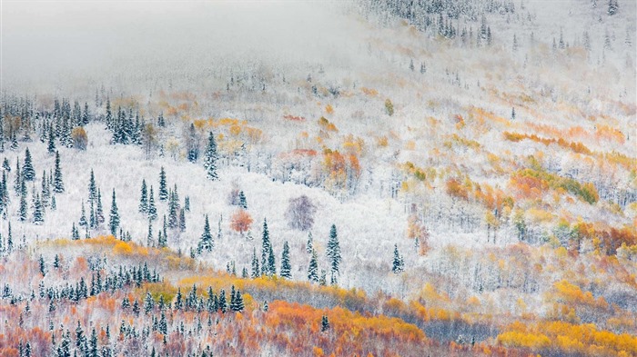 November 2016 Bing theme HD wallpapers (1) #8