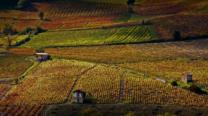 Novembre 2016 Bing thème HD fonds d'écran (1) #36