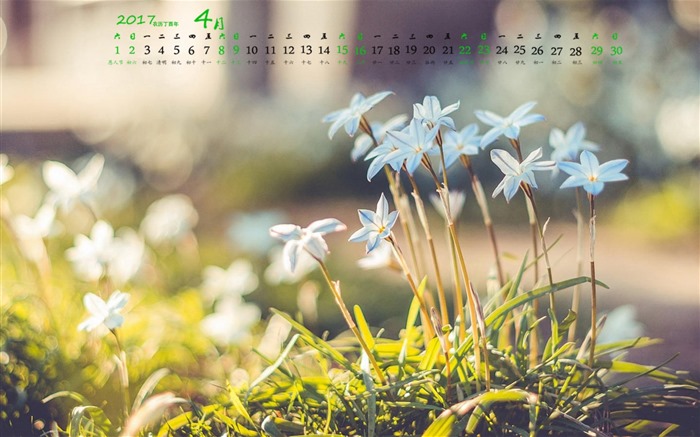 April 2017 calendar wallpaper (1) #5