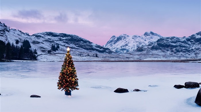 Diciembre 2016 Bing tema HD fondos de pantalla (2) #9