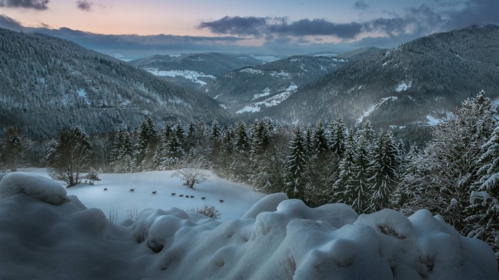 Décembre 2016 Fonds d'écran HD de thème Bing (2) #30