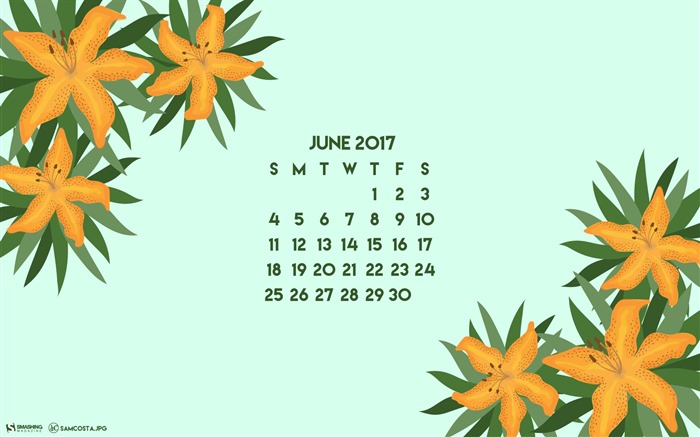 Junio 2017 calendario de fondos de pantalla #3