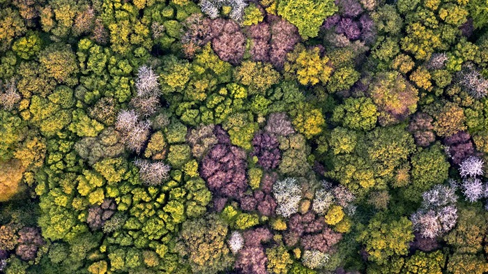 Marzo 2017 Bing tema de la alta definición de fondo de pantalla (1) #39