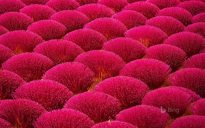 Mai 2017 Bing Thema der hochauflösenden Hintergrundbild #16