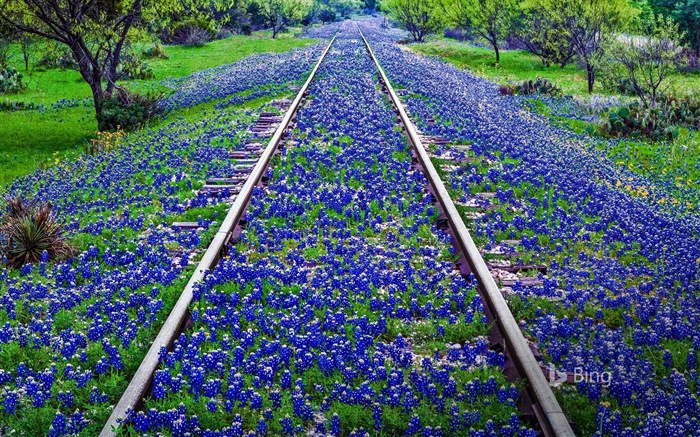 Junio de 2017 Tema de Bing de fondo de pantalla de alta definición #4