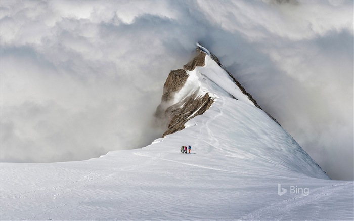 Juni 2017 Bing Thema von High-Definition-Hintergrundbild #9