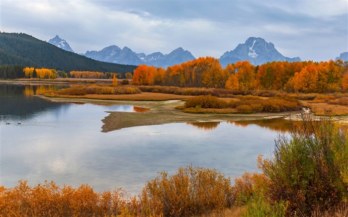 미국 그랜드 Teton 국립 공원 자연 풍경의 HD 월페이퍼 #11