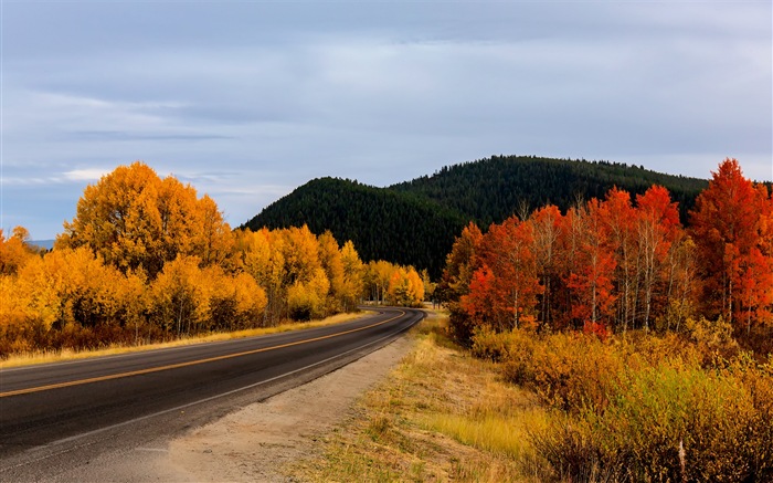 Paysage naturel de la nature dans le parc national des États-Unis d'Amérique, fonds d'écran HD #19