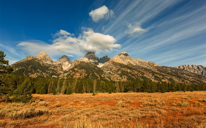 HD обои США Гранд Титон Национальный парк природа пейзаж #20