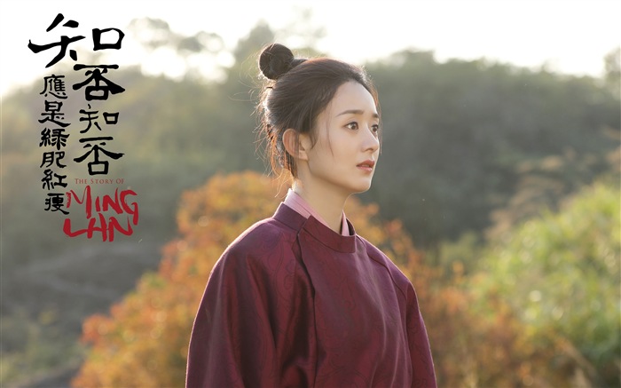 The Story Of MingLan, TV series HD wallpapers #16