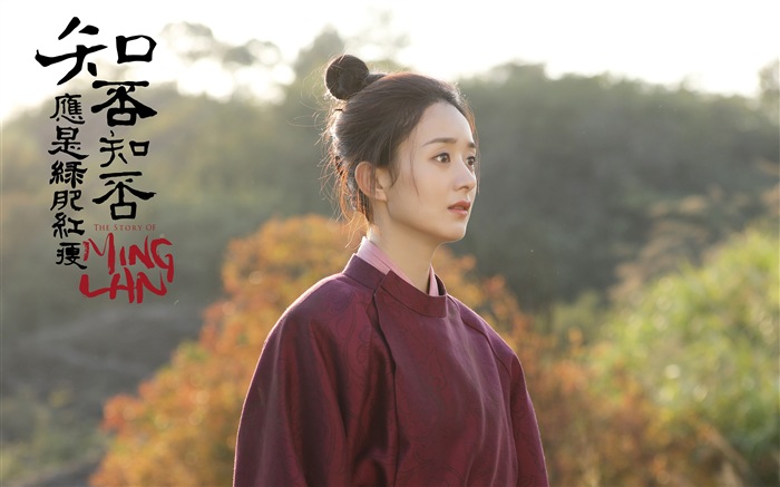 The Story Of MingLan, séries télé fonds d'écran HD #16
