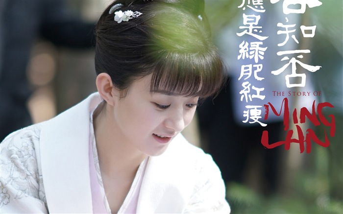 The Story Of MingLan, TV series HD wallpapers #27