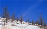 forêt, la neige fond d'écran (1) #16