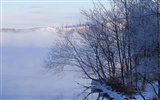 forêt, la neige fond d'écran (1) #17