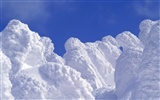 Snow Wald Wallpaper (2) #12