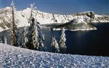 Nieve fondos de escritorio de los bosques (3) #4