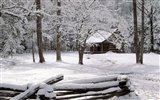 Nieve fondos de escritorio de los bosques (3) #7