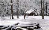 forêt, la neige fond d'écran (3) #7