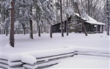 Nieve fondos de escritorio de los bosques (3) #8