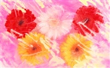 Květ Tapety na plochu výběr (2) #14