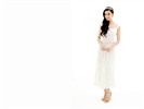 Fan Bingbing wallpaper album (2) #22