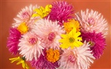 Flowers close-up (2) #6