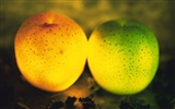 Light fruit Feature (1) #17