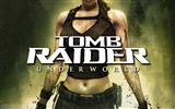 Lara Croft Tomb Raider 8 Underworld #14