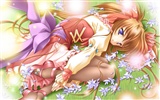 サクラダンス美しいMMは(1) #16