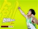 Liu offizielle Website Wallpaper #2