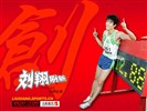 Liu offizielle Website Wallpaper #3