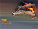 Liu je oficiální internetové stránky Wallpaper #20