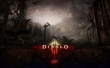 Diablo 3 hermosos fondos de escritorio #3