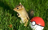 Cute wallpaper chipmunk #10