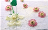 Indoor flower wallpaper (1) #8