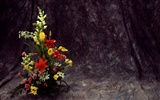 Fondo de pantalla cubierta de flores (2) #14