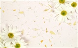 실내 꽃 벽지 (2) #31
