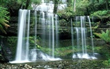 Cataratas del Bosque Fondo de pantalla HD