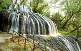 Cataratas del Bosque Fondo de pantalla HD #7