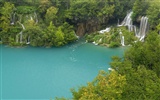 Cataratas del Bosque Fondo de pantalla HD #9