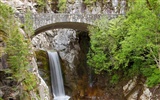 Cataratas del Bosque Fondo de pantalla HD #12