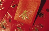 Vent de la Chine papier peint rouge festive #5