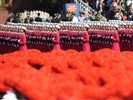 Día Nacional del desfile militar en el 60 aniversario de fondos de escritorio de mujeres #10