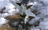 에 F - 22 