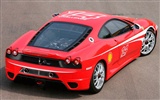 Ferrari álbum de fondo de pantalla (2) #4