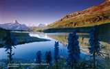 Switzerland wallpaper summer tourism attractions #10